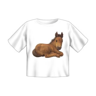 Baby T-Shirt bedruckt - Fohlen