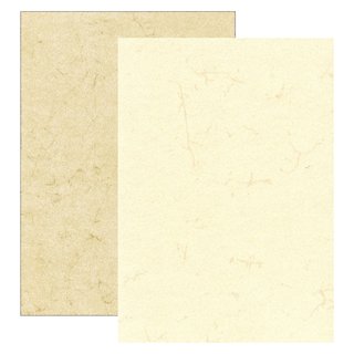 RNK Verlag Dokumentenpapier (Elefantenhautpapier), 110g/m², DIN A4, Pack á 100 Blatt