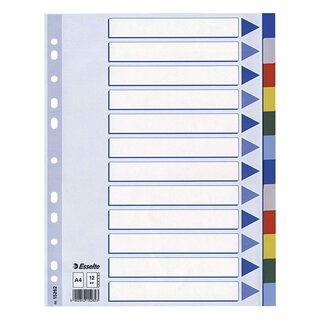 Esselte Register - blanko, A4, PP, 12-teilig + Deckblatt, farbig