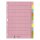 Leitz 4340 Register - blanko, Papier, A4, 10 Blatt, Taben 2x 5-farbig