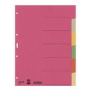 Leitz 4358 Register - Karton, blanko, A4, 6 Blatt, farbig