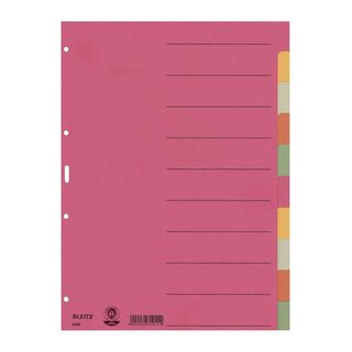 Leitz 4359 Register - Karton, blanko, A4, 10 Blatt, farbig