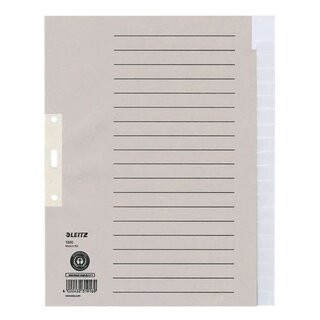 Leitz 1220 Register - Tauenpapier, A4 Überbreite, 20 Blatt, grau