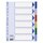 Esselte Register - blanko, A4, PP, 6-teilig + Deckblatt, farbig