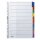 Leitz 4321 Register - blanko, Karton, A4, 10 Blatt, Taben 10-farbig