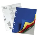 Durable Register - PP, blanko, farbig, A4, 5 Blatt