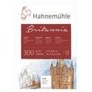 Hahnemühle Aquarellblock - 17 x 24 cm, 300 g/qm, 12...