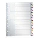 Leitz 1278 Register - PP, blanko, A4, 20 Blatt, grau