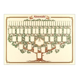 Ahnentafel "Skizzierter Baum" für 6 Generationen bis zu 63 Personen
