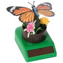 Solar-Schmetterling sortiert