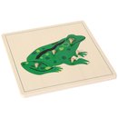 Puzzle Frosch