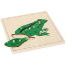 Puzzle Frosch