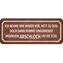 Schild Spruch "nehme mir vor, nett zu sein  -...