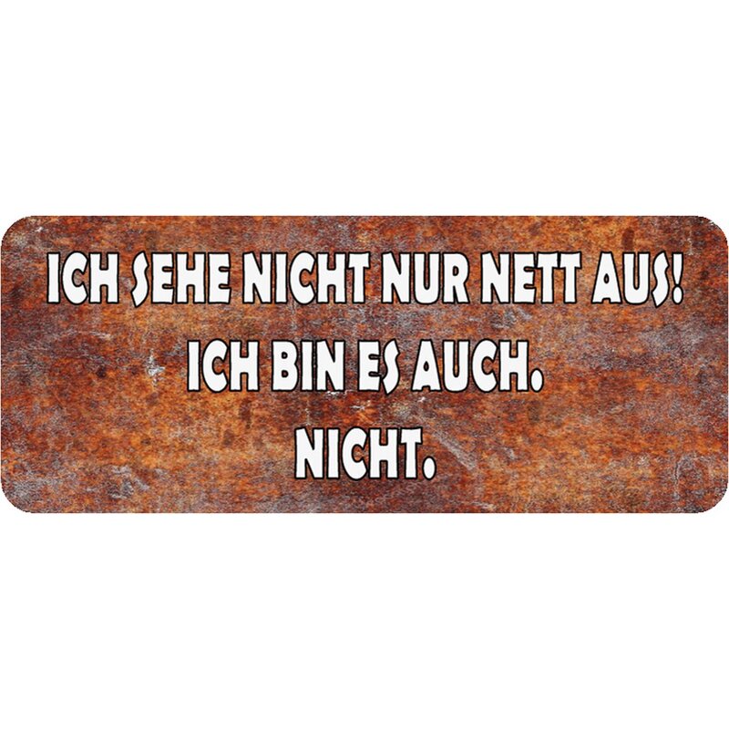 Schild Spruch "sehe nicht nur nett aus, bin es auch nicht" 27 x 10