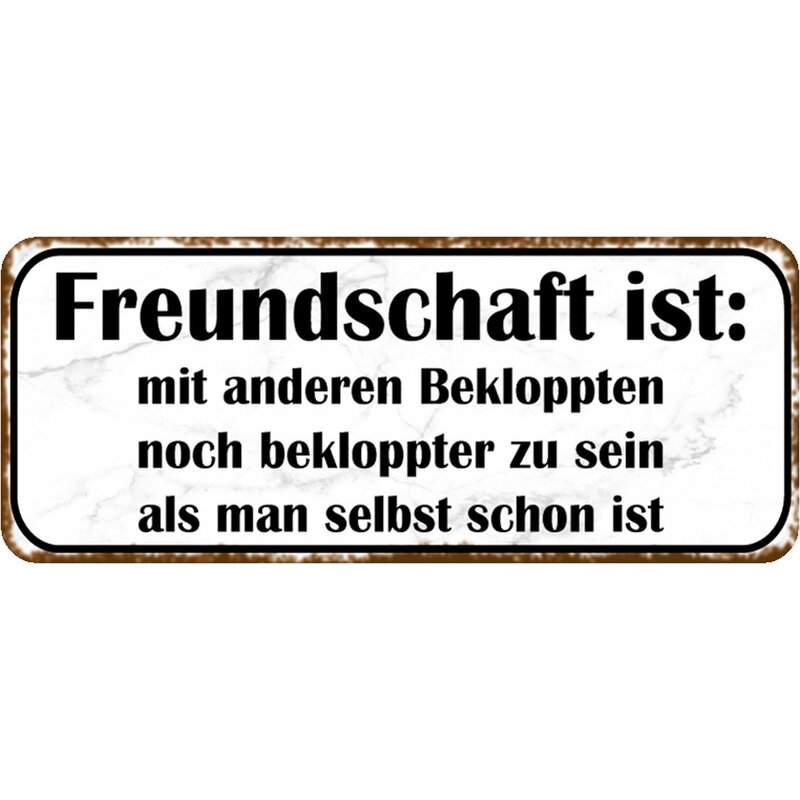 Schild Spruch "Freundschaft mit Bekloppten bekloppter sein" 27 x 10