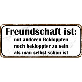 Schild Spruch "Freundschaft - mit Bekloppten bekloppter sein" 27 x 10 cm Blechschild