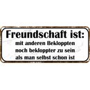 Schild Spruch "Freundschaft - mit Bekloppten...