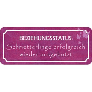 Schild Spruch "Beziehungsstatus: Schmetterlinge ausgekotzt" 27 x 10 cm Blechschild 