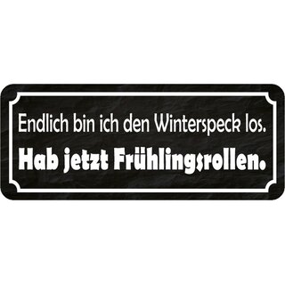 Schild Spruch "Endlich Winterspeck los habe Frühlingsrollen" 27 x 1