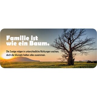 Schild Spruch "Familie wie Baum - Zweige, Wurzeln zusammen" 27 x 10 cm Blechschild  