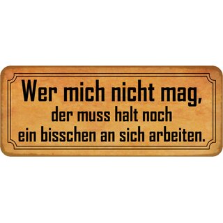 Schild Spruch "Wer mich nicht mag, muss an sich arbeiten" 27 x 10 cm Blechschild