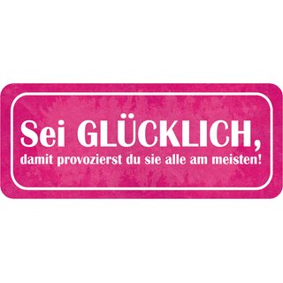 Schild Spruch "Sei glücklich - provozierst sie am meisten" 27 x 10 cm Blechschild