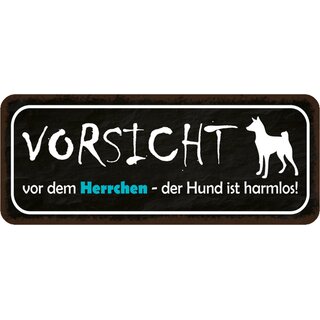 Schild Spruch Vorsicht vor Herrchen, Hund harmlos 27 x 10 cm Blechschild