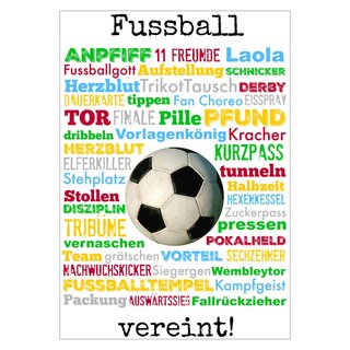 Schild Spruch Fußball vereint - Tor Team Herzblut 20 x 30 cm Blechschild