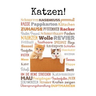 Schild Spruch Katzen - Schnurren Mau Kater Maus Zuhause 20 x 30 cm Blechschild