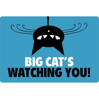Schild Spruch Big Cats watching you! 20 x 30 cm Blechschild