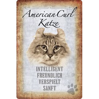 Schild Spruch "American Curl Katze. Intelligent" 20 x 30 cm Blechschild