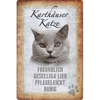 Schild Spruch "Karthäuser Katze, ruhig freundlich" 20 x 30 cm Blechschild