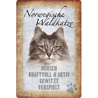 Schild Spruch "Norwegische Waldkatze, hübsch verspielt" 20 x 30 cm Blechschild