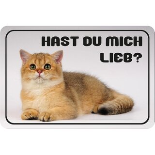 Schild Spruch "Hast du mich lieb?" 20 x 30 cm Blechschild