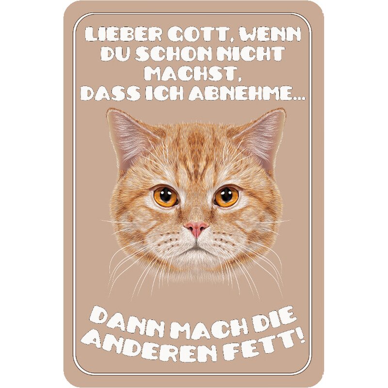 Schild Spruch "Lieber Gott mach die anderen Fett" 20 x 30 cm Blechsch