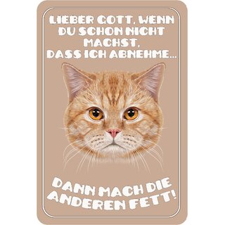 Schild Spruch "Lieber Gott mach die anderen Fett" 20 x 30 cm Blechschild