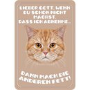 Schild Spruch "Lieber Gott mach die anderen...