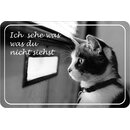 Schild Spruch "Katze, ich sehe was was du nicht...