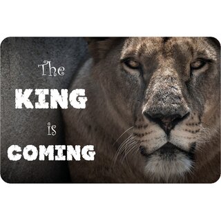 Schild Spruch "the King is Coming - Löwe" 20 x 30 cm Blechschild