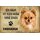 Schild Spruch "Haus kein Heim ohne Chihuahua" Hund 20 x 30 cm Blechschild