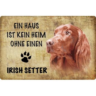 Schild Spruch "Haus kein Heim ohne Irish Setter" Hund 20 x 30 cm Blechschild