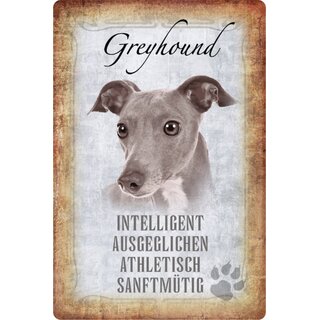Schild Spruch Greyhound, intelligent athletisch Hund 20 x 30 cm Blechschild