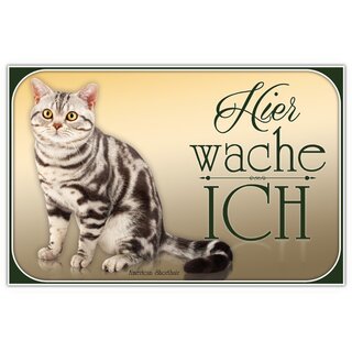 Schild Spruch "Hier wache ich - American Shorthair" 20 x 30 cm Blechschild