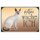 Schild Spruch "Hier wache ich - Balinesenkatze" 20 x 30 cm Blechschild