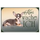 Schild Spruch "Hier wache ich - Chihuahua" 20 x...