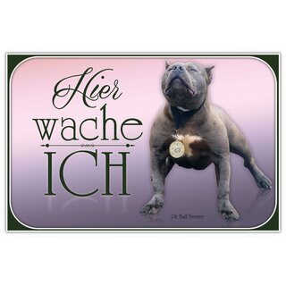 Schild Spruch "Hier wache ich - Pit Bull Terrier" 20 x 30 cm Blechschild