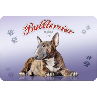 Schild "Bullterrier - England 1850" 20 x 30 cm Blechschild