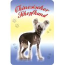 Schild "Chinesischer Schopfhund" 20 x 30 cm...