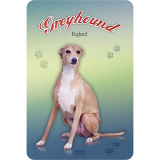 Schild Greyhound - England 1700 20 x 30 cm Blechschild