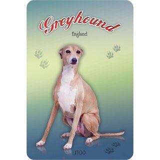 Schild "Greyhound - England 1700" 20 x 30 cm Blechschild